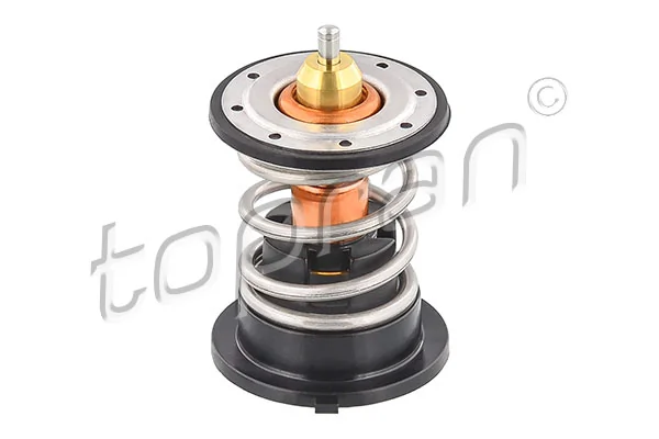 Thermostat, coolant