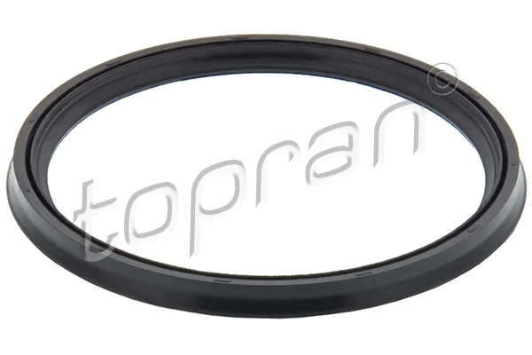 Seal Ring, charge air hose