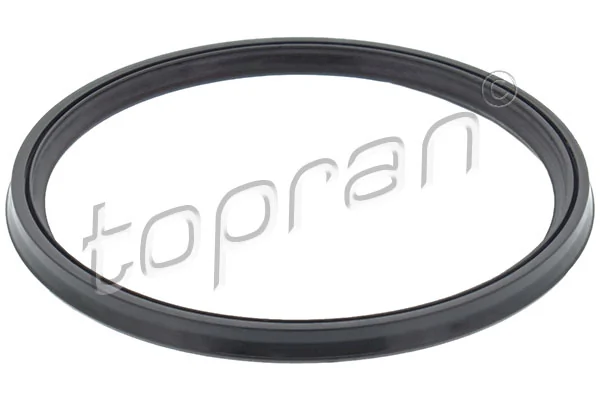 Seal Ring, charge air hose