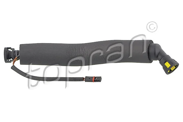 Hose, cylinder head cover ventilation