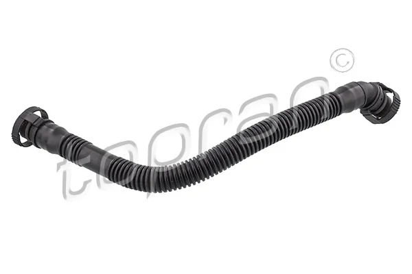 Hose, cylinder head cover ventilation