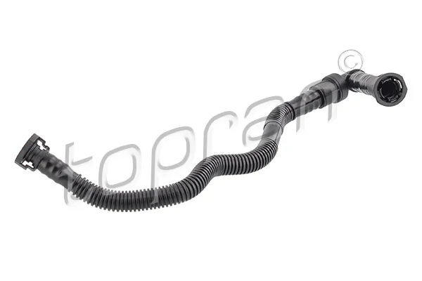 Hose, cylinder head cover ventilation