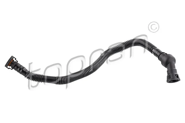 Hose, cylinder head cover ventilation