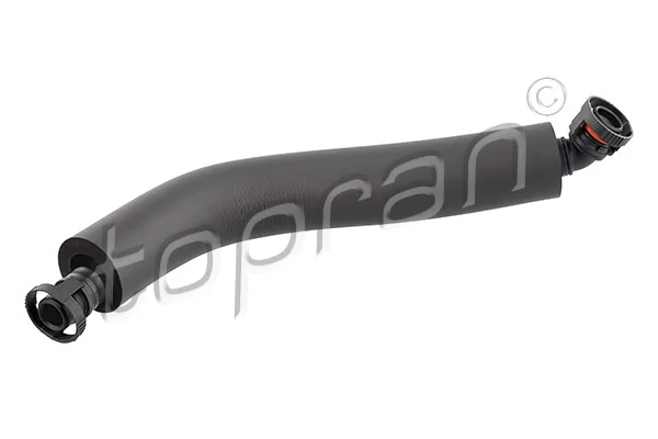 Hose, cylinder head cover ventilation