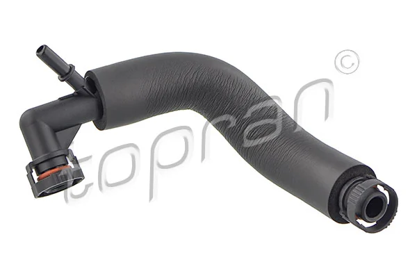Hose, cylinder head cover ventilation