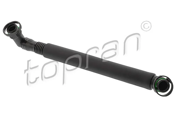 Hose, cylinder head cover ventilation