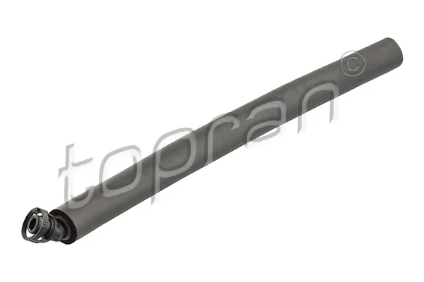 Hose, crankcase ventilation