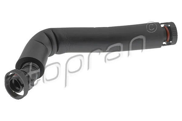 Hose, cylinder head cover ventilation