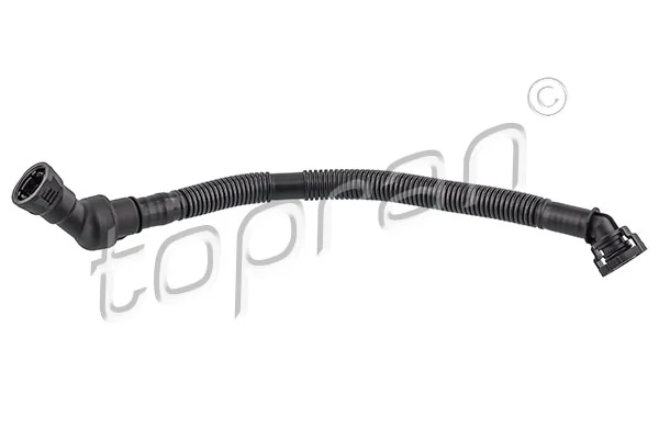 Hose, cylinder head cover ventilation