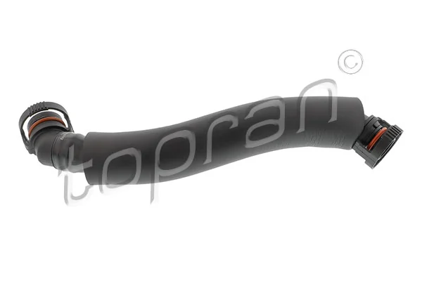 Hose, cylinder head cover ventilation