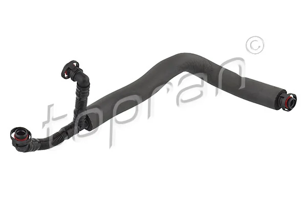 Hose, cylinder head cover ventilation