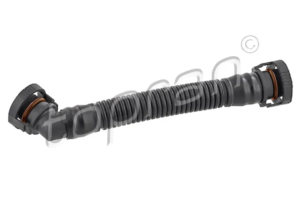 Hose, cylinder head cover ventilation