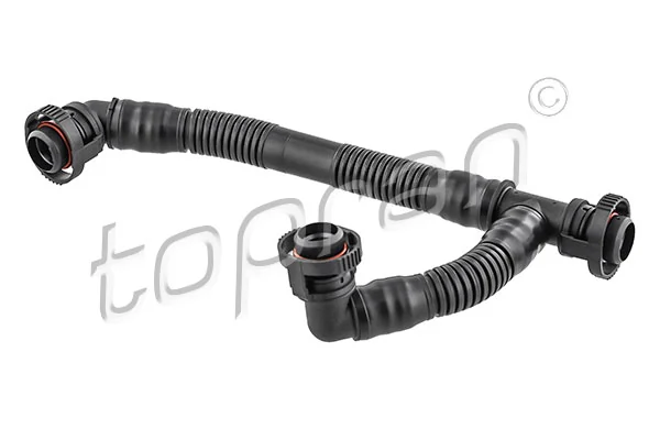 Hose, cylinder head cover ventilation