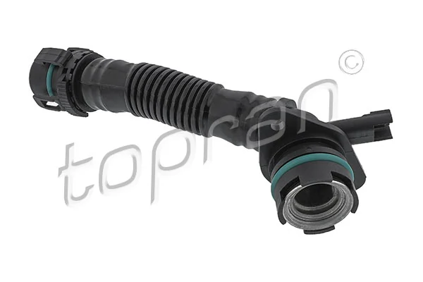 Hose, cylinder head cover ventilation