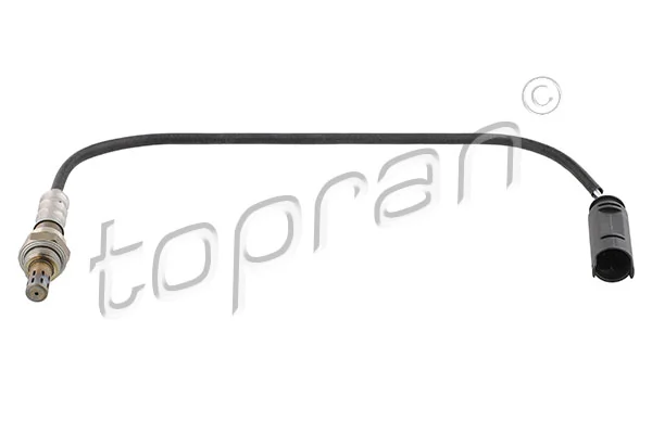 Oxygen Sensor