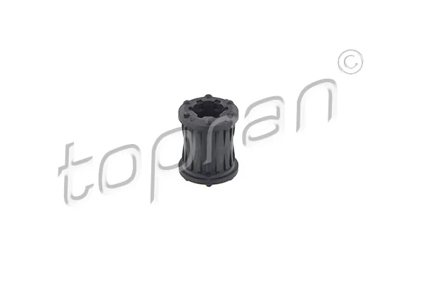 Bushing, selector/shift rod