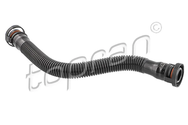 Hose, cylinder head cover ventilation