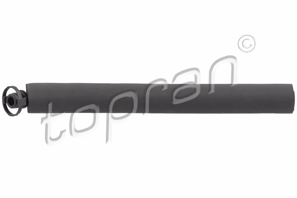 Hose, cylinder head cover ventilation