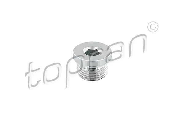 Screw Plug, oil sump