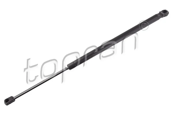 Gas Spring, boot/cargo area