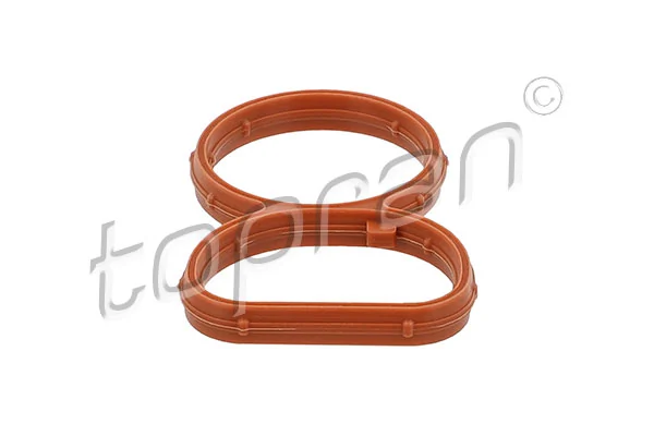 Gasket, intake manifold