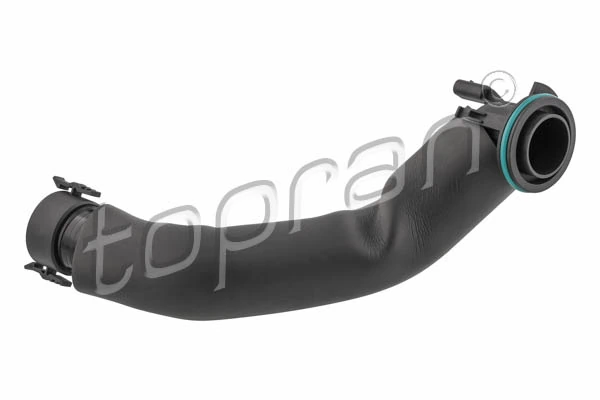Hose, cylinder head cover ventilation