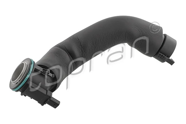 Hose, cylinder head cover ventilation