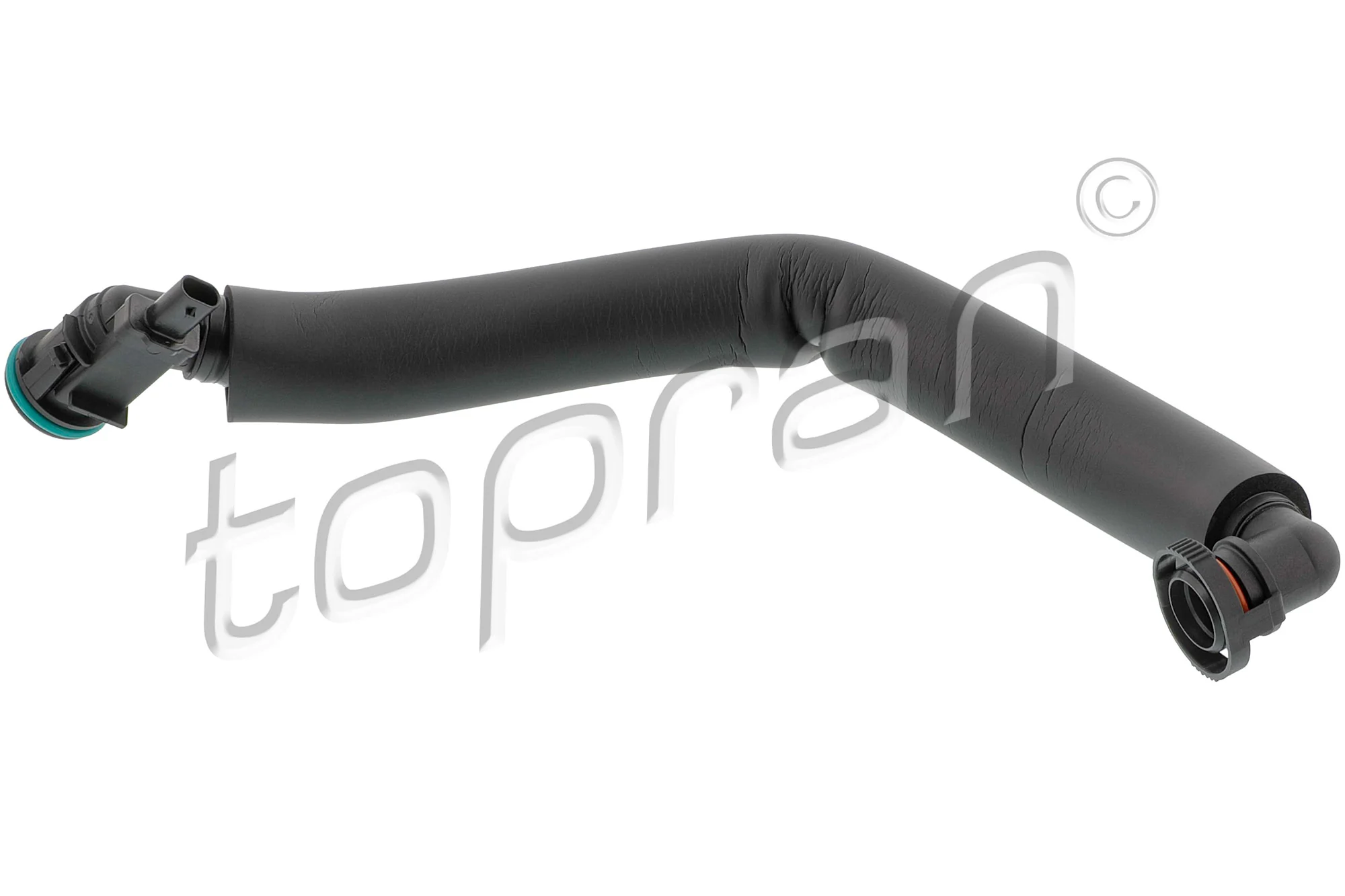 Hose, cylinder head cover ventilation