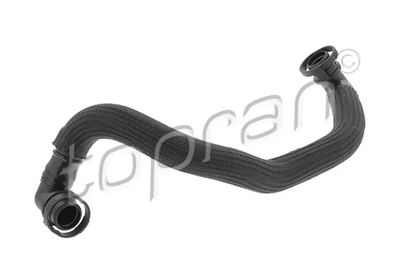 Hose, cylinder head cover ventilation