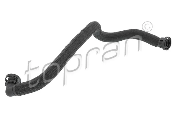 Hose, cylinder head cover ventilation