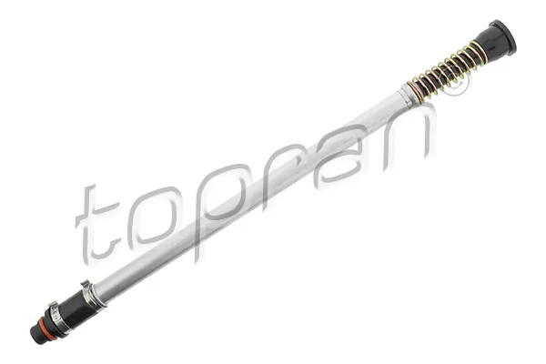 Hose, cylinder head cover ventilation