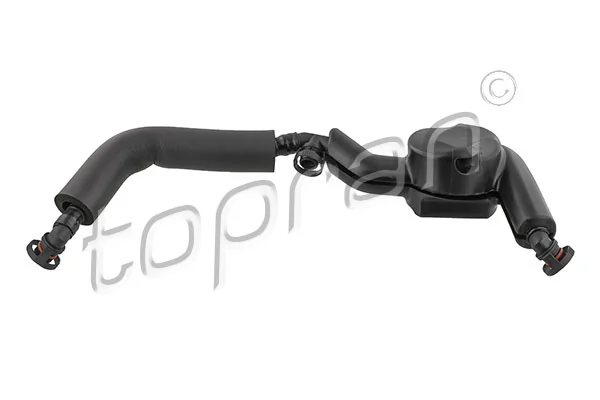 Hose, cylinder head cover ventilation
