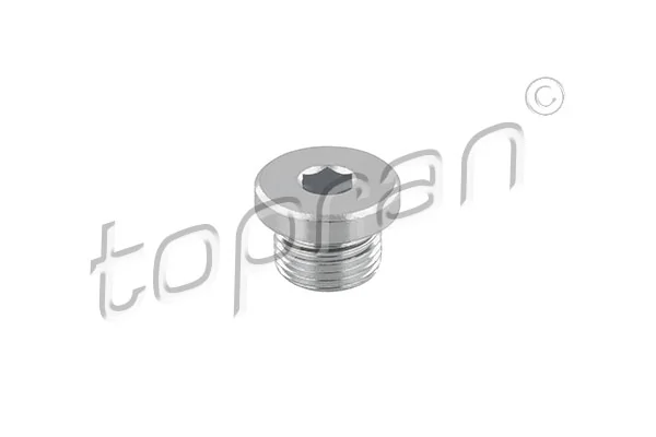 Screw Plug, automatic transmission casing