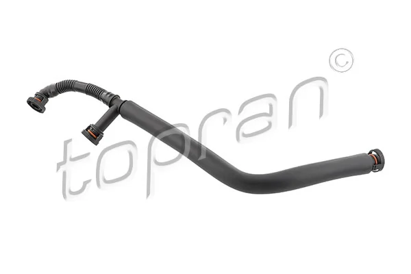 Hose, crankcase ventilation