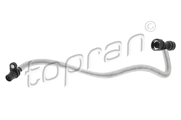 Hose, crankcase ventilation