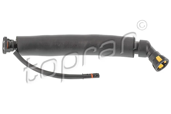 Hose, cylinder head cover ventilation