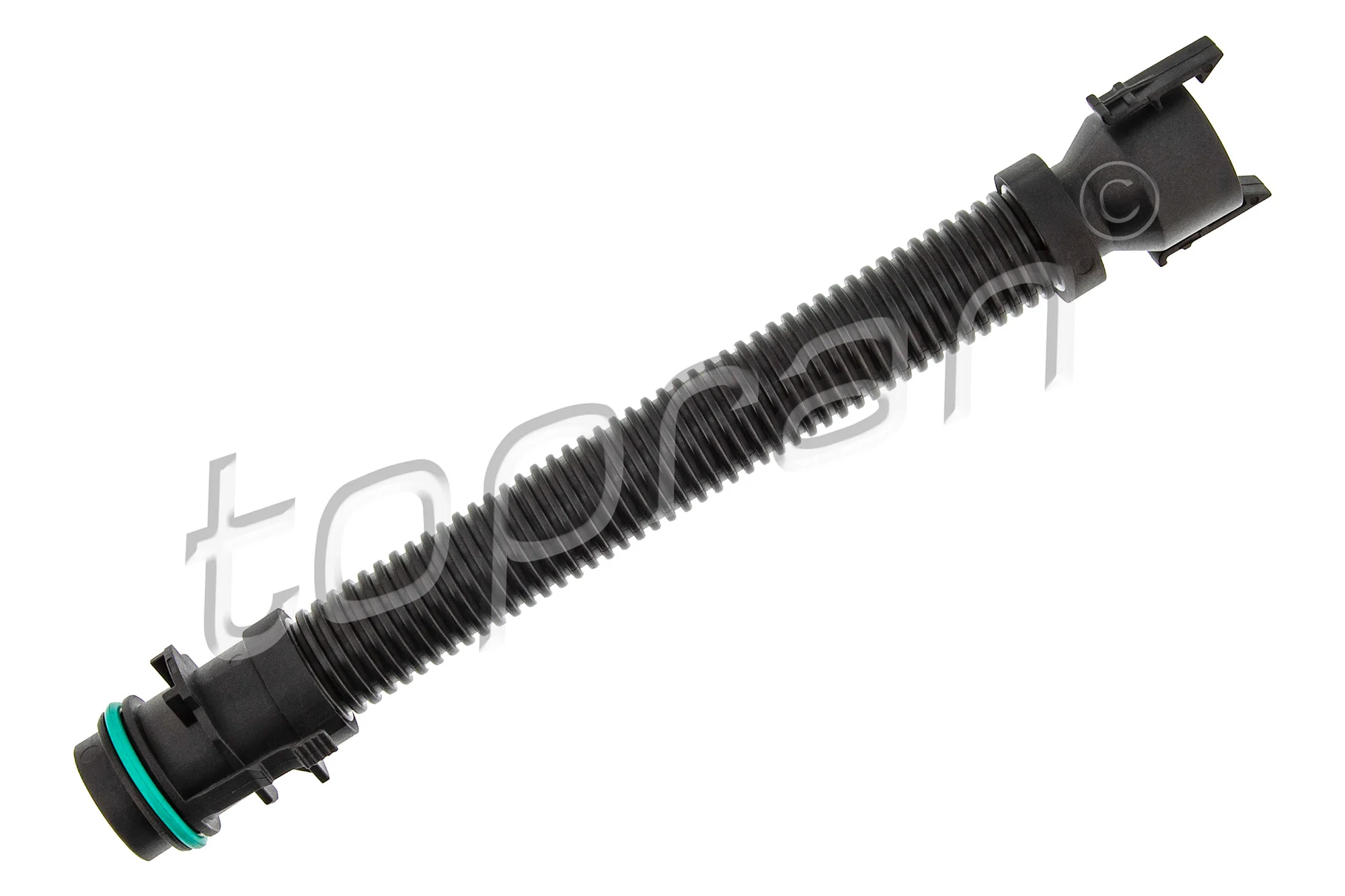 Hose, crankcase ventilation