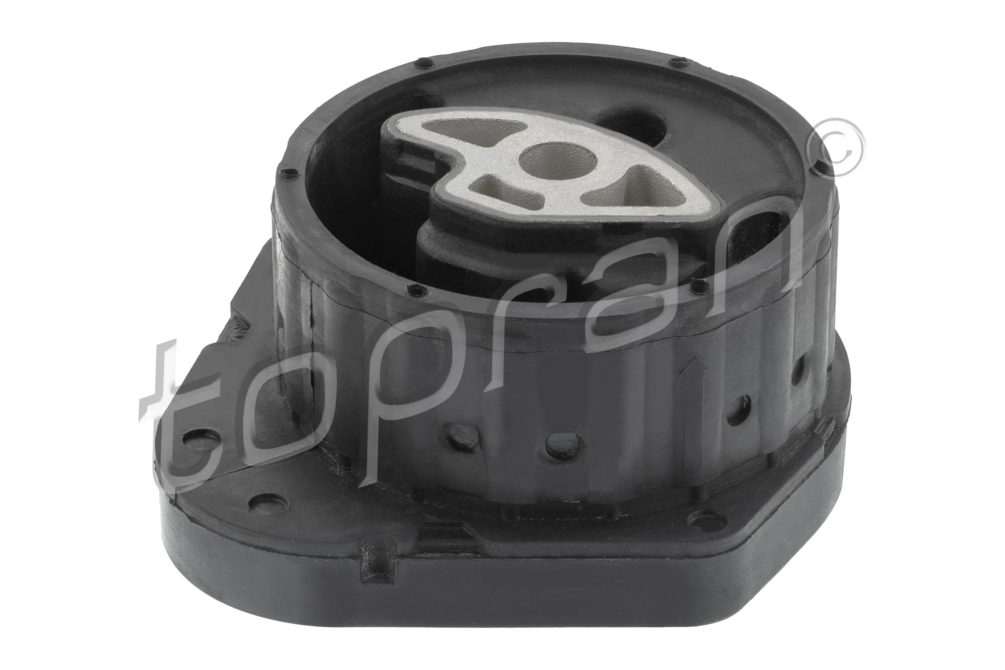Mounting, transfer case