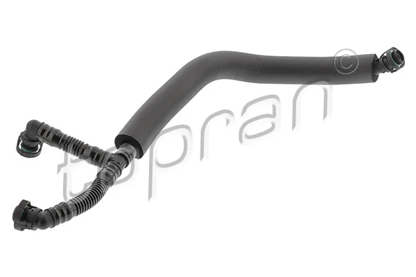 Hose, cylinder head cover ventilation