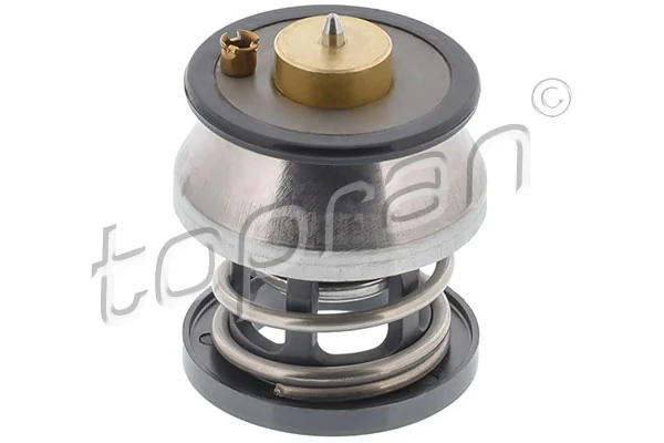 Thermostat, coolant