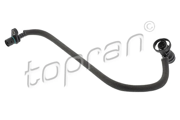 Hose, crankcase ventilation