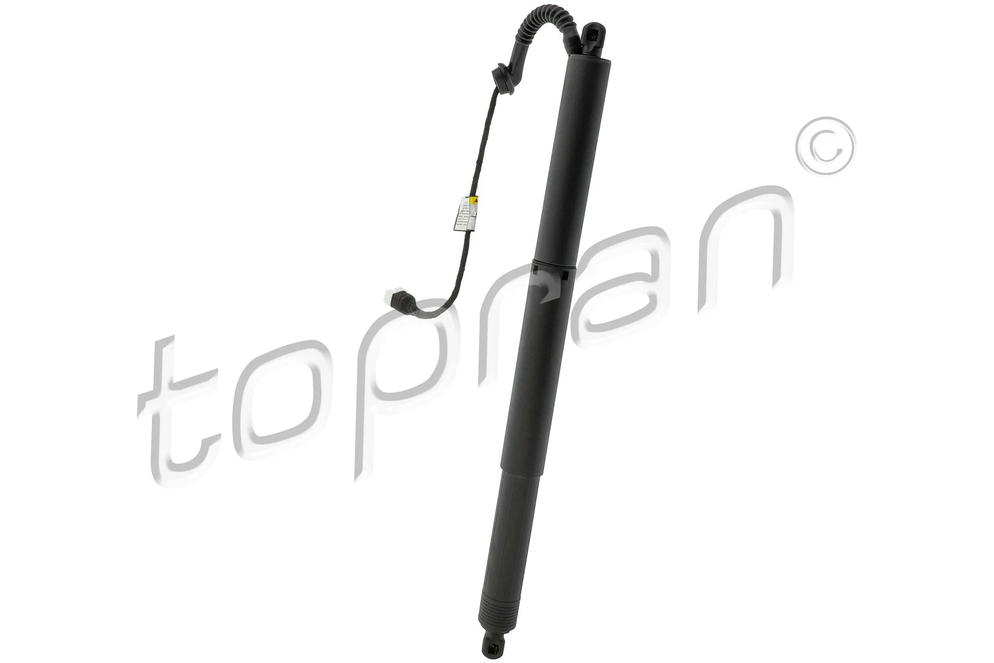 Electric Motor, tailgate