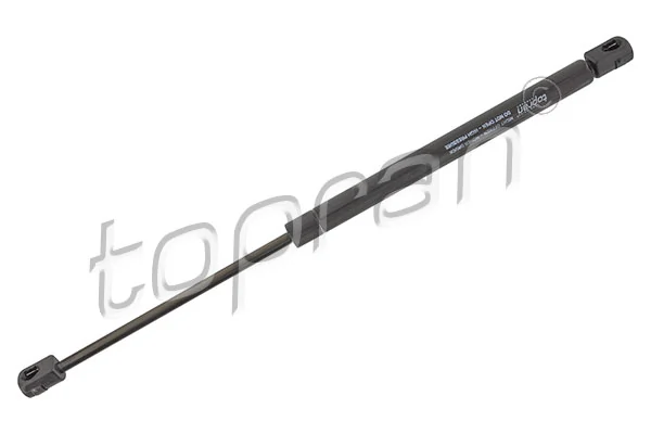Gas Spring, boot/cargo area