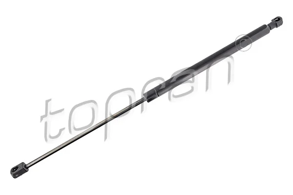 Gas Spring, boot/cargo area
