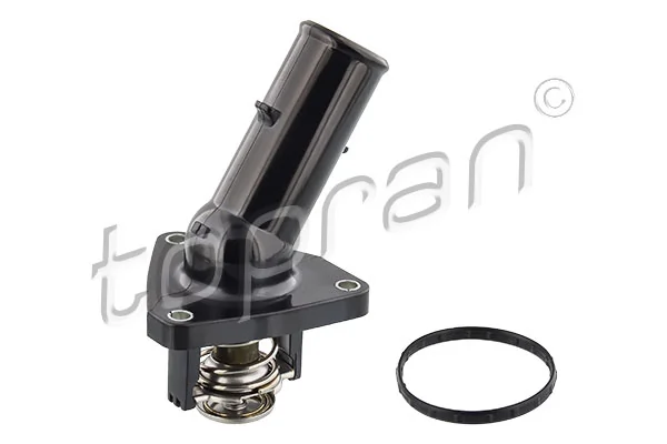 Thermostat, coolant