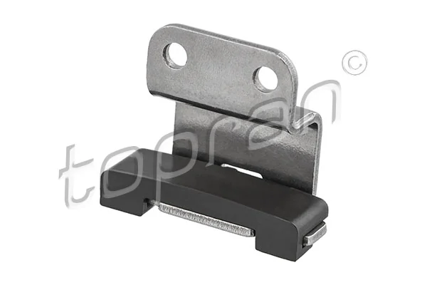 Guide, timing chain
