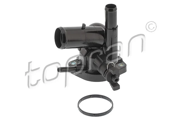 Thermostat, coolant