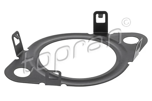Gasket, EGR valve