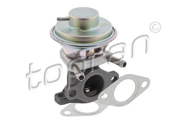 EGR Valve