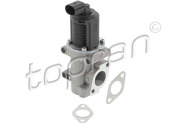 EGR Valve
